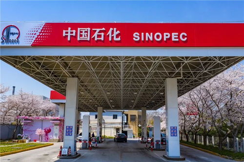 中國石化37周年慶 在能源領域譜寫華章，租賃市場見證發展足跡