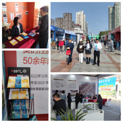 園區(qū)公積金助力岳陽(yáng)惠民房交會(huì)，提供專業(yè)房地產(chǎn)咨詢服務(wù)