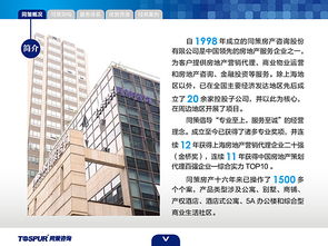 房地產(chǎn)咨詢服務(wù) 賦能決策，驅(qū)動價值